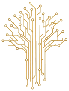 Bright Minds Logo
